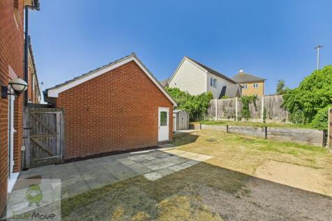 Back Garden