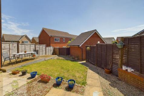 Back Garden