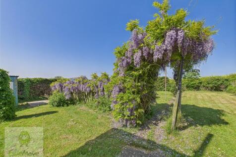 Back Garden