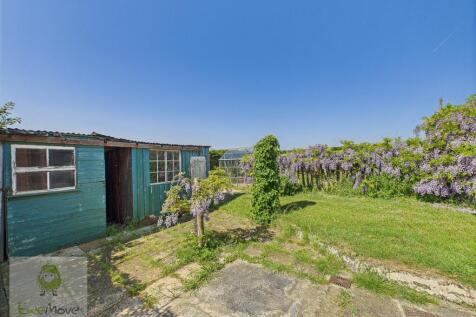 Back Garden