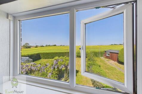 View From The Back Bedroom