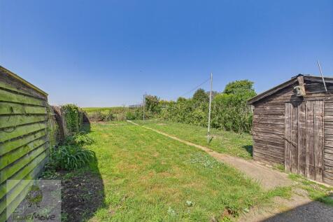 Back Garden