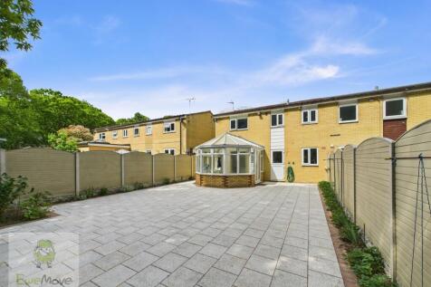 Back Garden