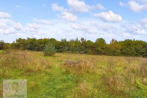 Land At The Back Of The Property