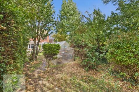 Back Garden