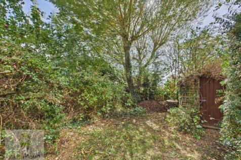 Back Garden