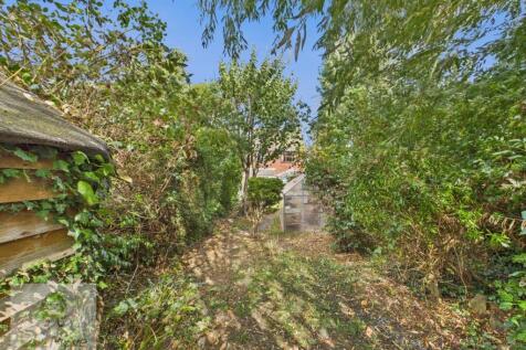 Back Garden