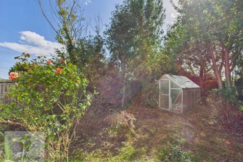 Back Garden