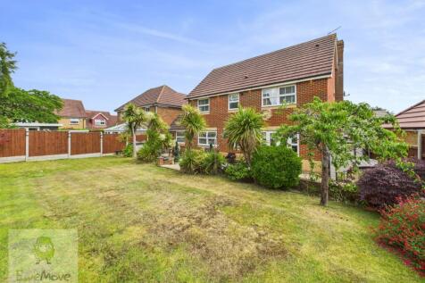 Back Garden