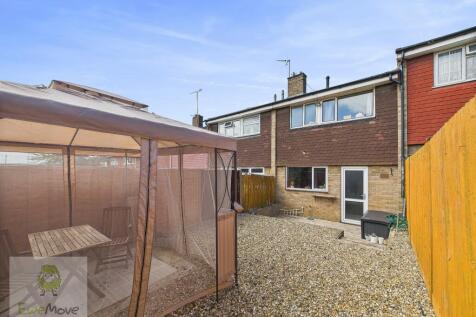 Back Garden