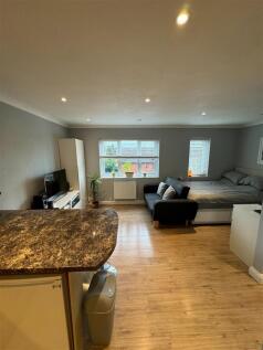 Open Plan Kitchen/Lounge/Bedroom