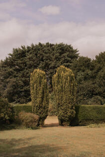 229098 - The Manor House-5.jpg