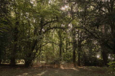229101 - The Manor House-8.jpg
