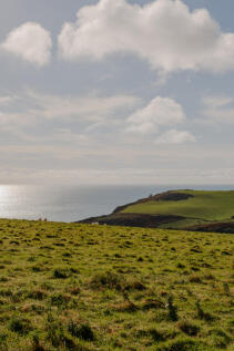 237243 - a0OP6000004RPT3MAO_N9_Crop.jpg