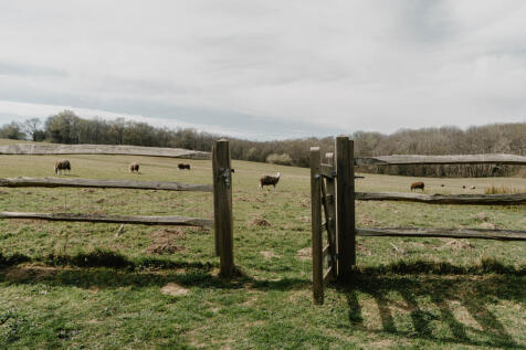 274637 - Holly Tree Cottage_High Res-73.jpg