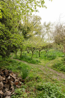278216 - 20250415-CHURCH-RD_STEEP-39_HI_RES.JPG