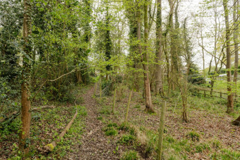 278220 - 20250415-CHURCH-RD_STEEP-43_HI_RES.JPG