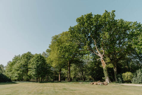 281371 - Turners Hill Road_High Res-15.jpg