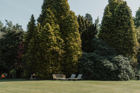 281386 - Turners Hill Road_High Res-29.jpg