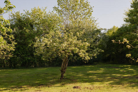 284004 - Further Hill Farm, Cookley-79.jpg
