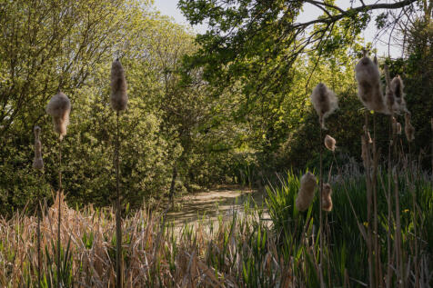 284003 - Further Hill Farm, Cookley-78.jpg