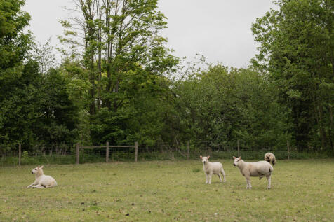 285147 - Yorks Tenement, Yoxford-71.jpg