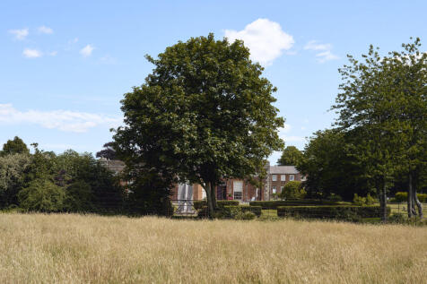 295436 - DSC05987.jpg