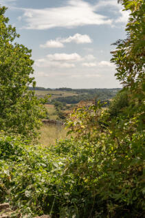 295590 - _A748579.jpg