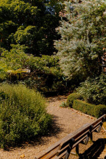 306394 - 20250816_Inigo_51 _Barksone_Garden_044...