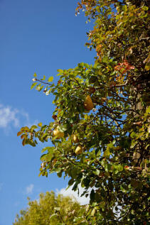 311288 - a0OP60000062S81MAE_N28.jpg