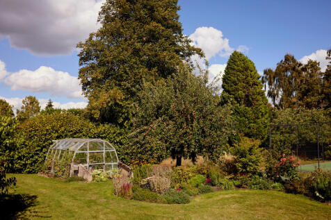 311290 - a0OP60000062S81MAE_N97.jpg