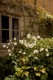309698 - INIGO_PALM COTTAGE_07.JPG