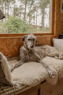 314768 - _A742029.jpg