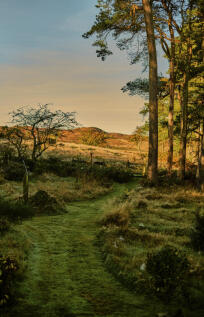 313484 - 20251029_Bwlch_Coch__Shot_1_176.jpg