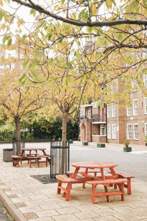 317535 - a0OP6000006V3uDMAS_N14.jpg