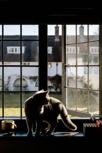 141261 - Inigo_Waterlow Court_High Res-21.jpg