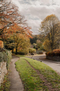 319326 - _A745476.jpg