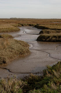 288184 - A0OP6000007A2P3MAI_N5_CROP.jpg