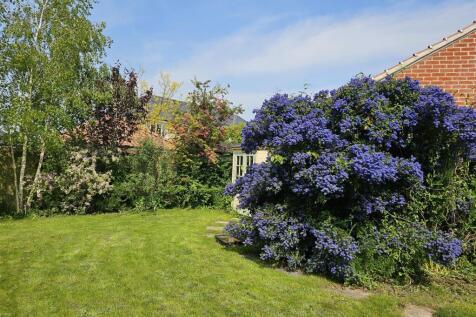 VENDOR IMAGE OF GARDEN IN SUMMER