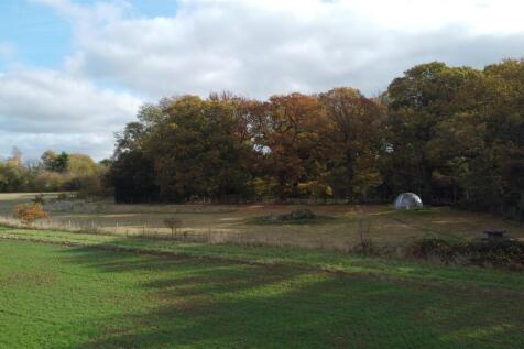 View of paddock area