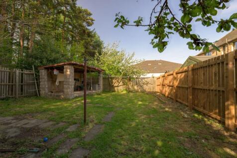 Back Garden