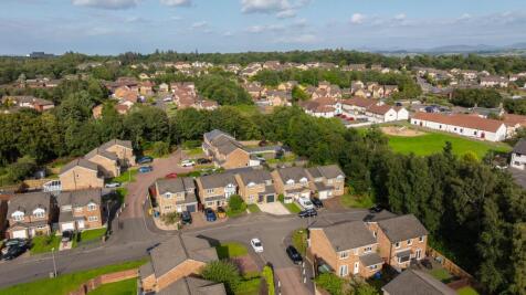 Street Aerial Shot