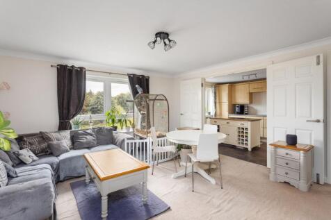 Lounge / Dining Room