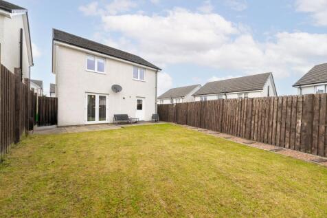 Back garden