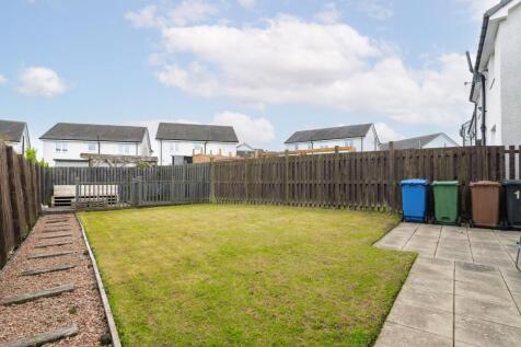 Back garden
