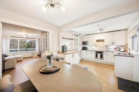 Kitchen/Dining/Lounge Area