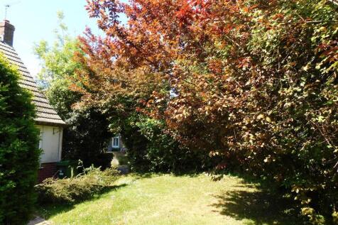 67 SDR Garden1.JPG