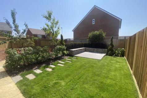 garden.jpeg