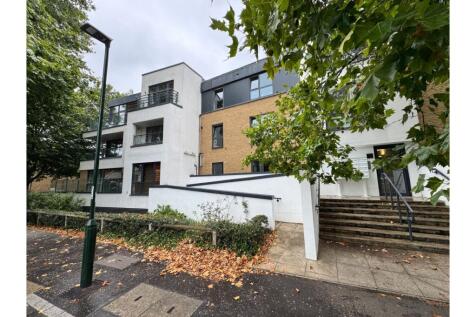 Property Image 19