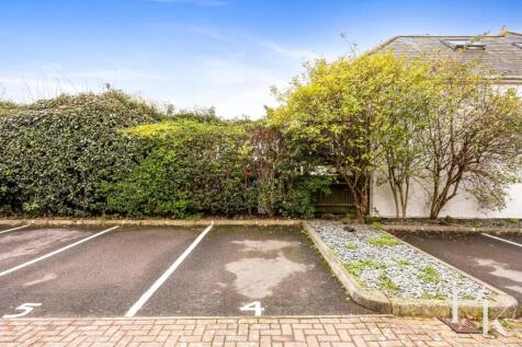 Maytree Close 2_018.JPG